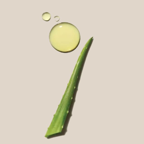 Clean Beauty Everyday Shampoo - Image 4