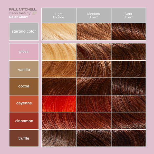Clean Beauty Color Depositing Treatment - Image 3