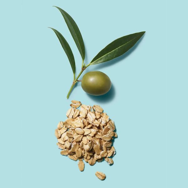 Clean Beauty Hydrate Shampoo - Image 3